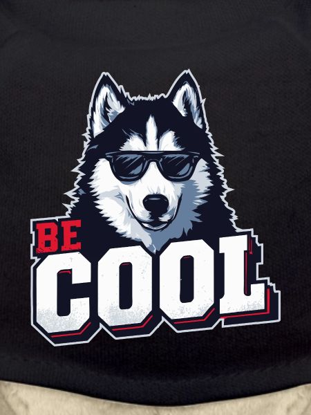 Be Cool - Siberian Husky