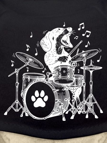 Teckel musical Batteur