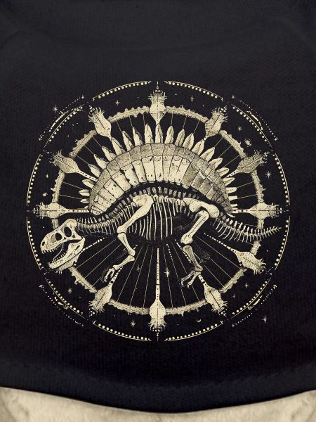 Stegosaurus Skeleton – Cosmic Boho Fossil