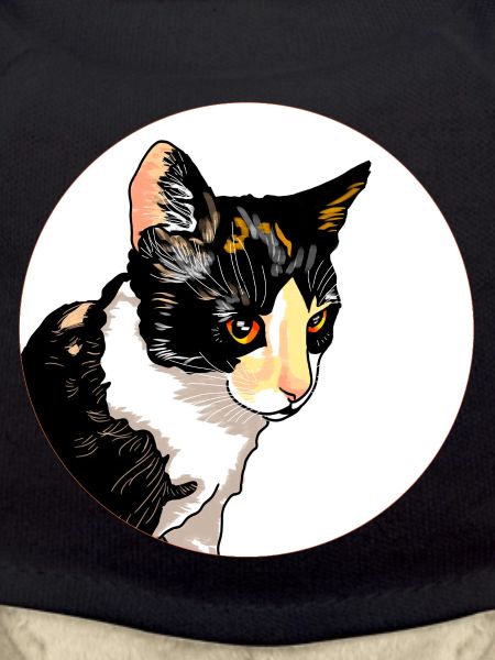 Chat Portrait Cercle Contraste