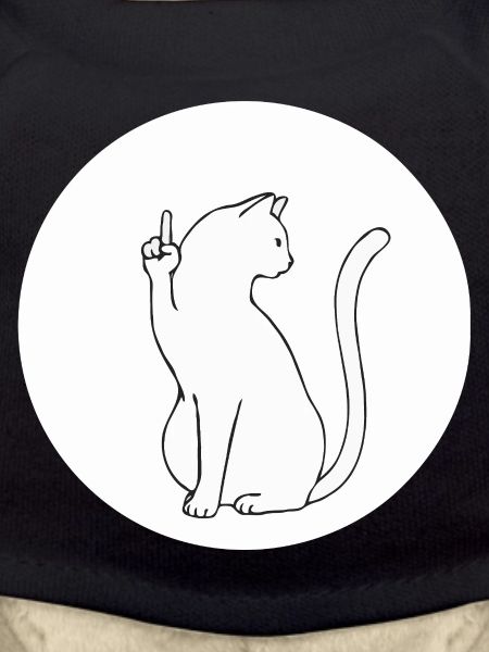Chat chats chaton chat doigt d’honneur