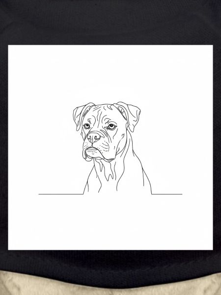 Boxer Dog