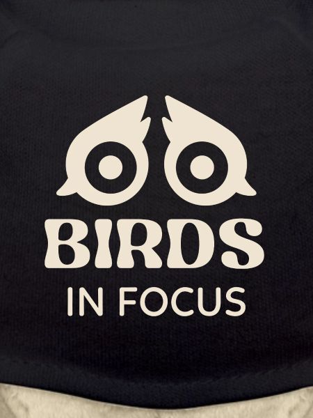 Birds in Focus