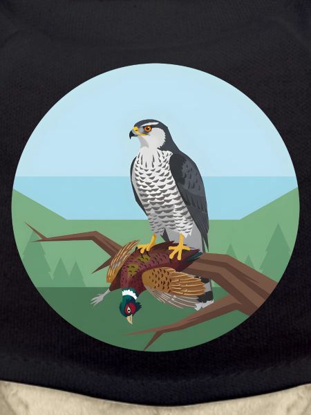 Goshawk with pheasant
