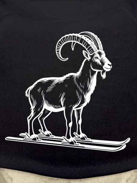 Funny ibex for skiers