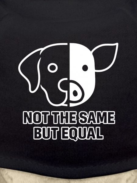 Dog Pig