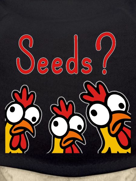 Crazy Chickens Eating Grains Hobby