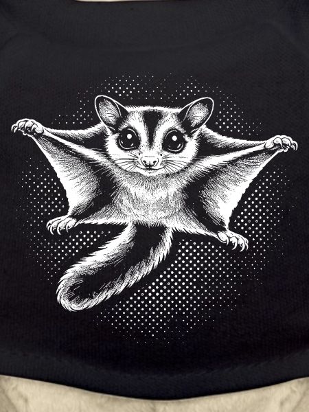 Sugar gliders