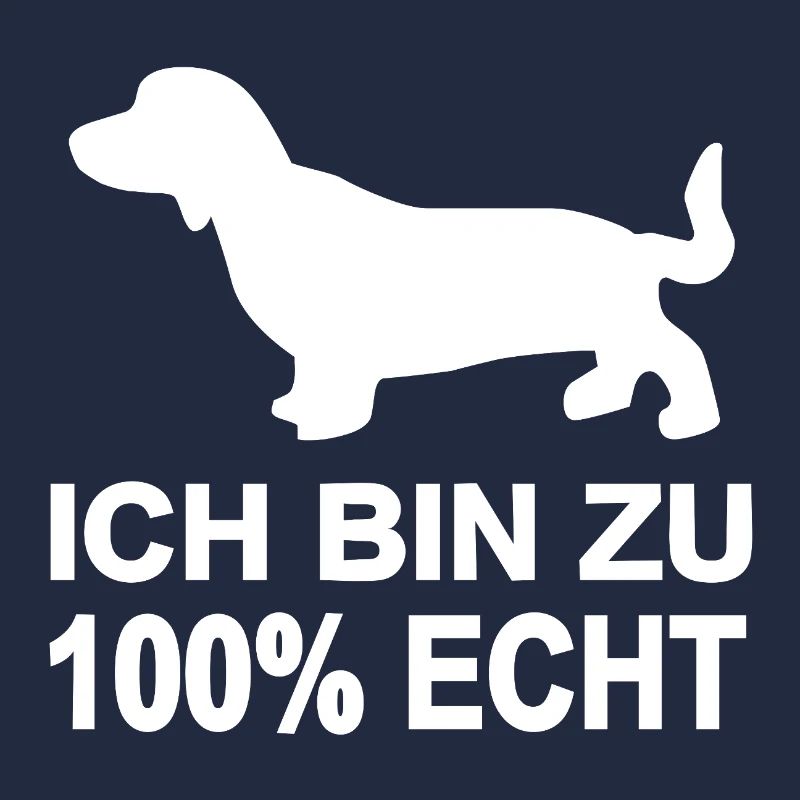 Dachshund