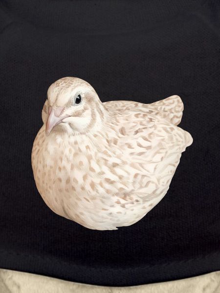 Cinnamon Spotted Quail Nature Illustration