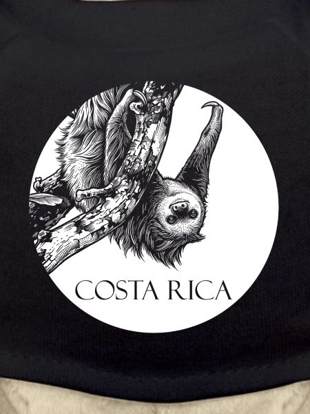 Sloth Costa Rica