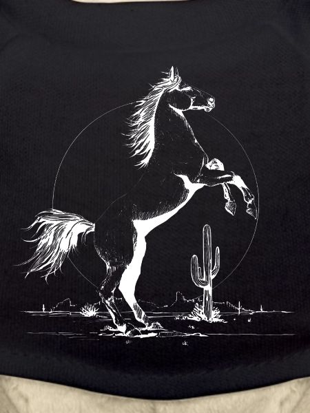 Desert Stallion Silhouette
