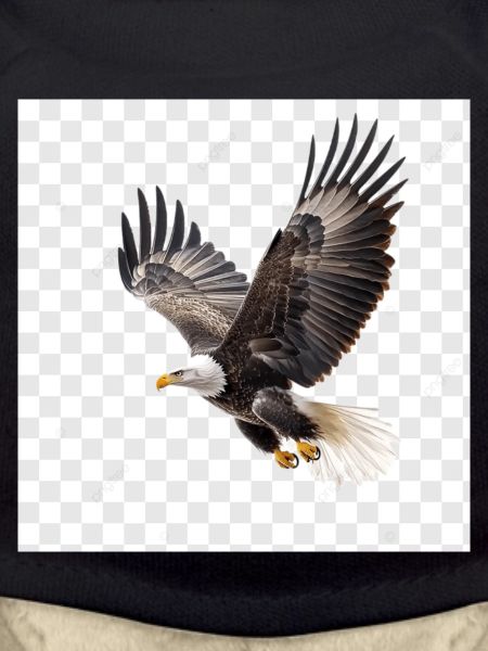 Flying Eagle Majestic Flight