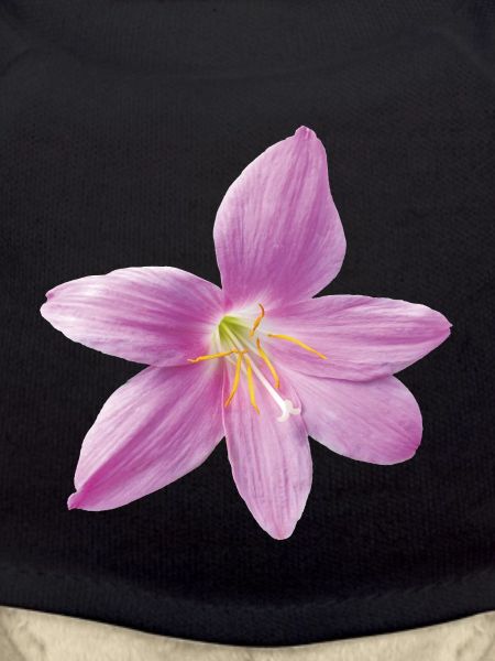pink_rain_lily_botanical_print_gift_for_her