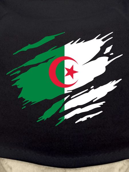 Algerian Flag of Algeria