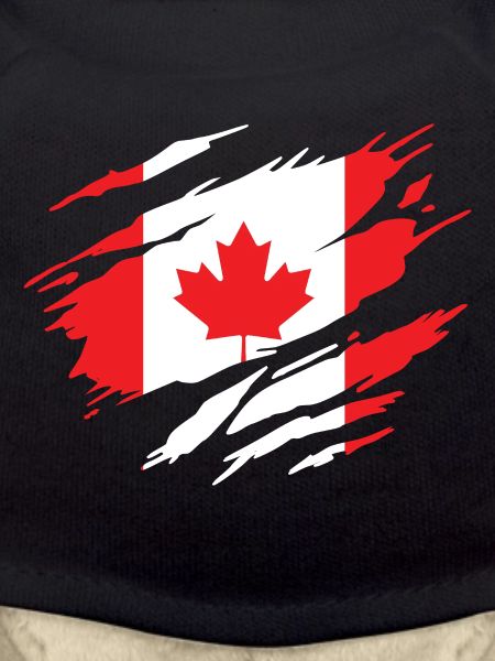 Canada Drapeau Canadien Canadienne