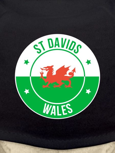 St Davids Welsh Dragon Emblem