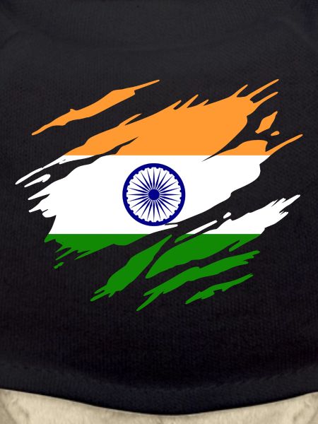 Inde Drapeau Indien Indienne