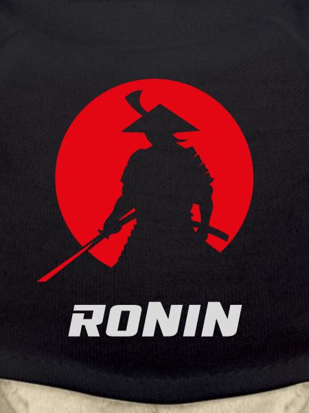 Ronin Samurai Japanese Warrior