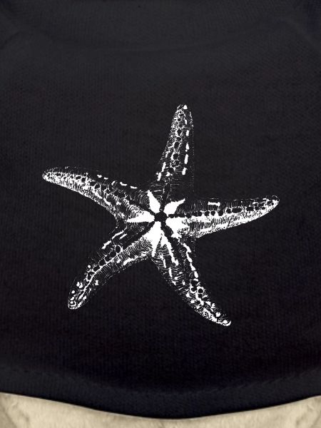 Starfish Sketch Silhouette