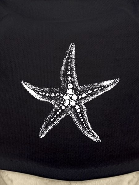 Starfish Silhouette on Black