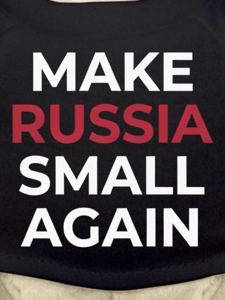 Make russia Small Again