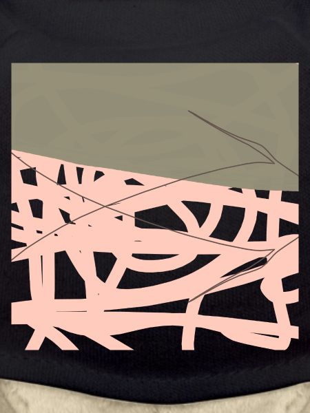 Rosé net on olive background