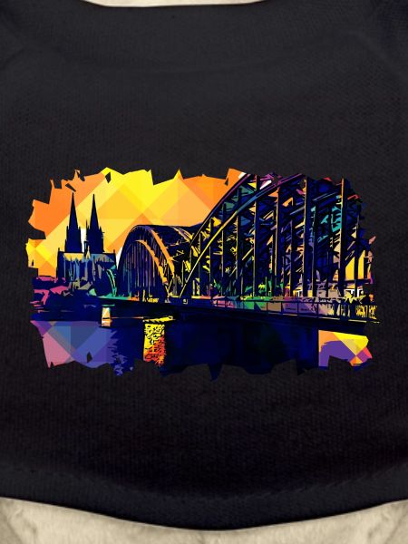 Köln Popart Domblick