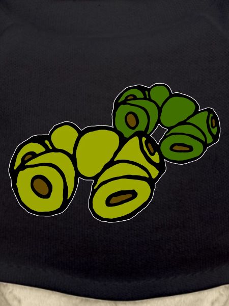 diverses olives
