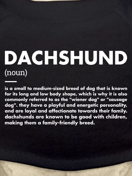 Dachshund Definition