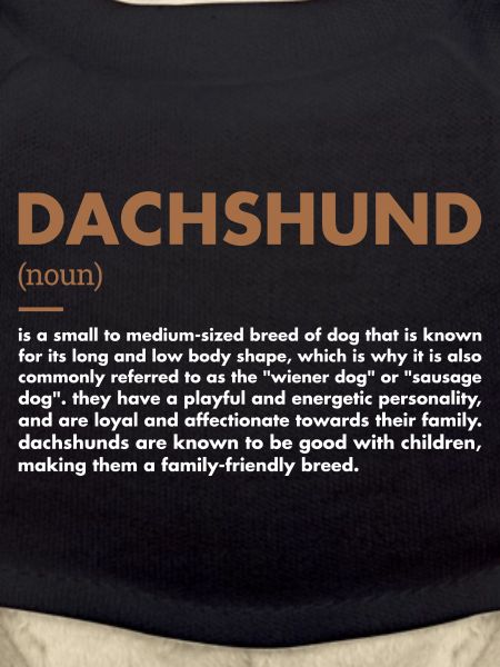 Dachshund Definition