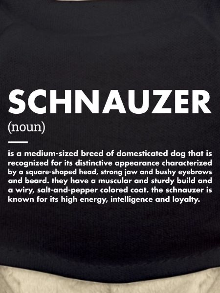 Schnauzer Definition