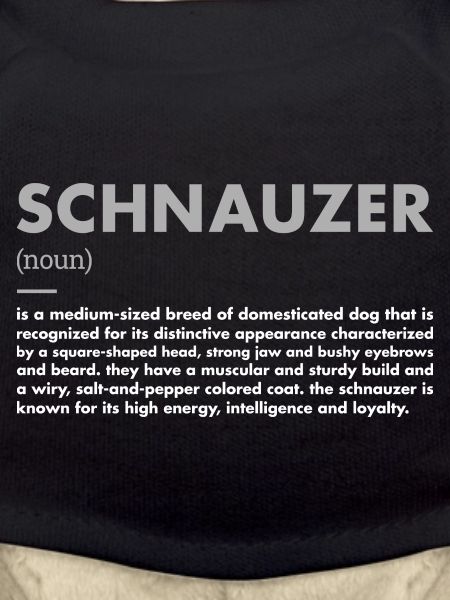Schnauzer Definition