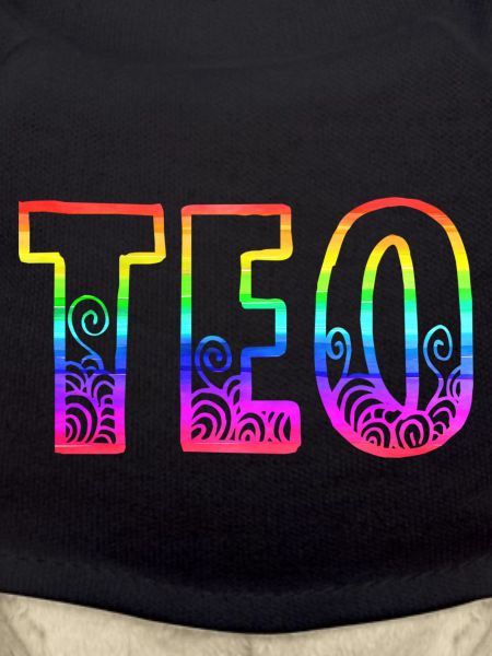 teo rs regenbogen