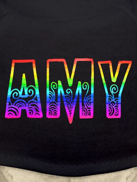 amy rs arc-en-ciel