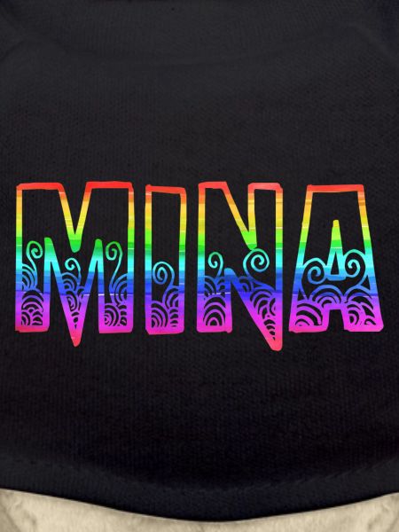 mina rs rainbow
