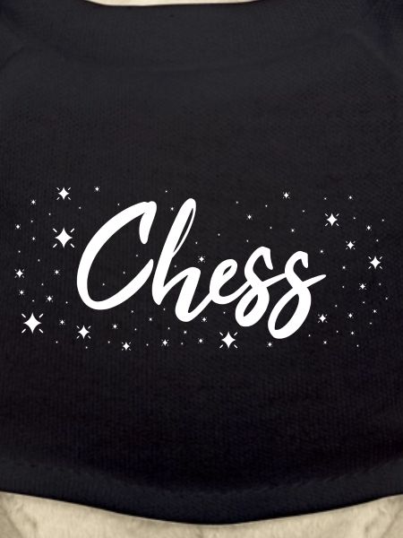Chess Player Chess