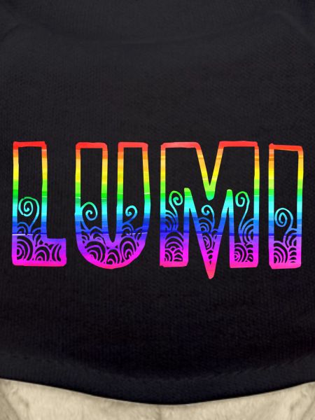 lumi rs regenbogen
