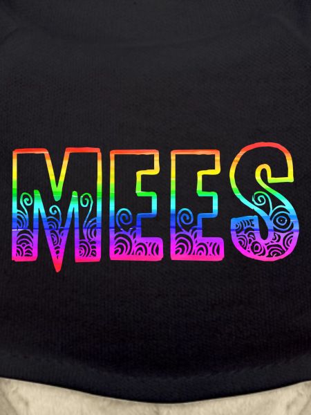 mees rs rainbow