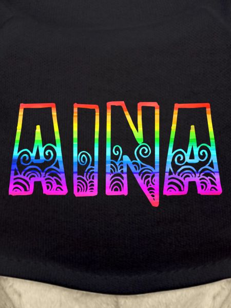 aina rs rainbow