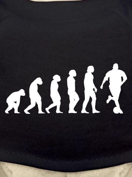 Sport Evolution Soccer