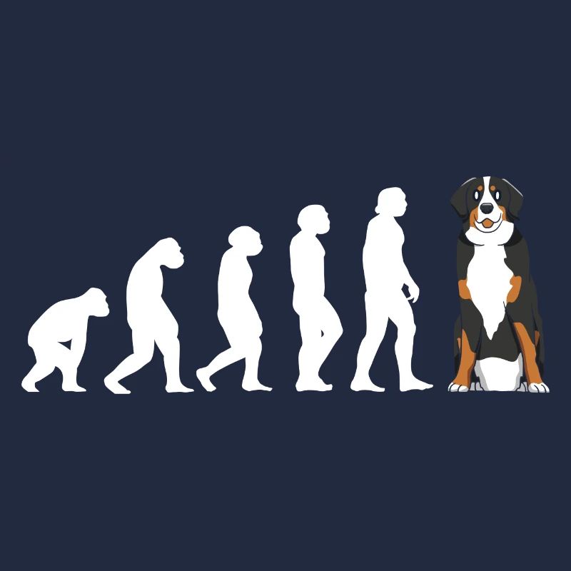 Evolution Bernese Mountain Dog