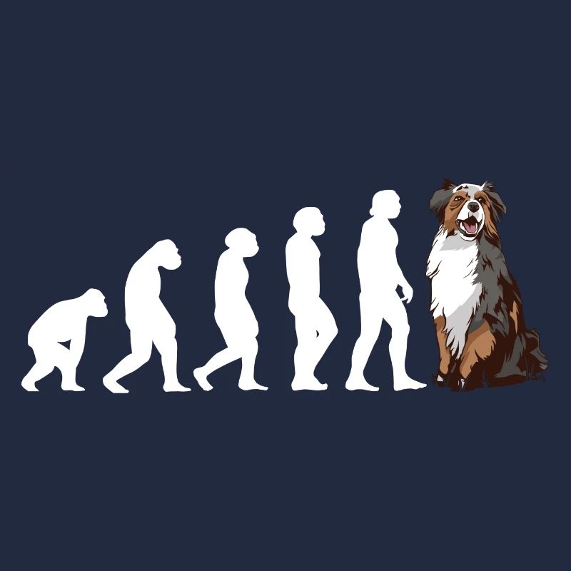 Évolution du chien Aussie