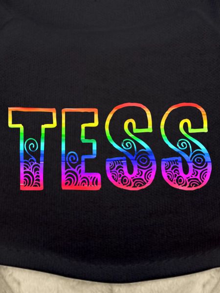 tess rs rainbow