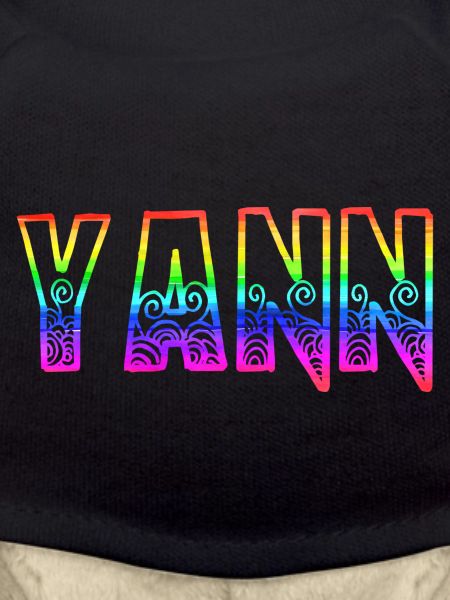 yann rs rainbow