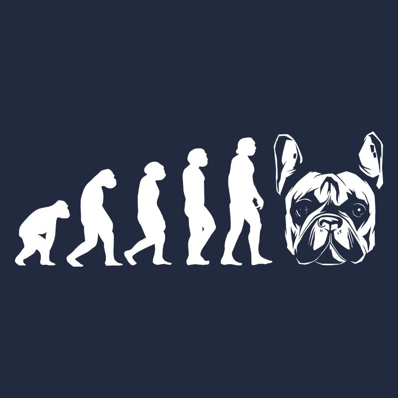 Evolution Bouledogue Français