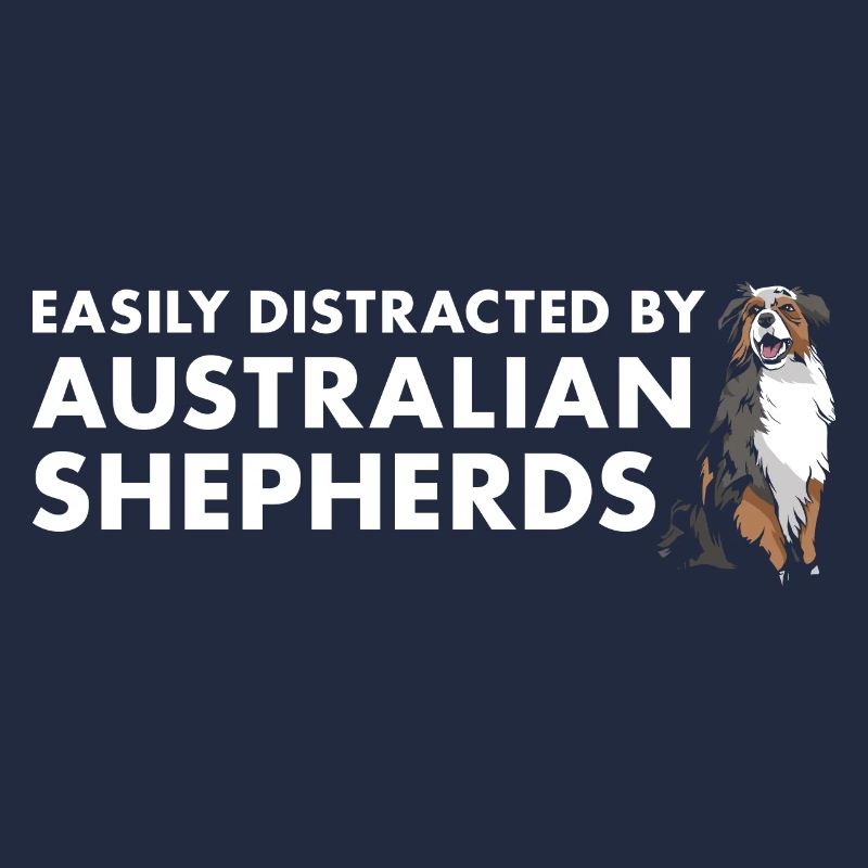 Dog Easily Distracted By Aussie