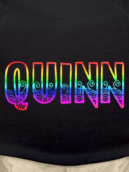 quinn rs rainbow