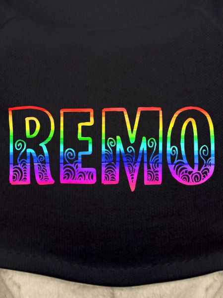 remo rs regenbogen