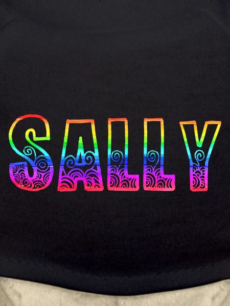 sally rs regenbogen